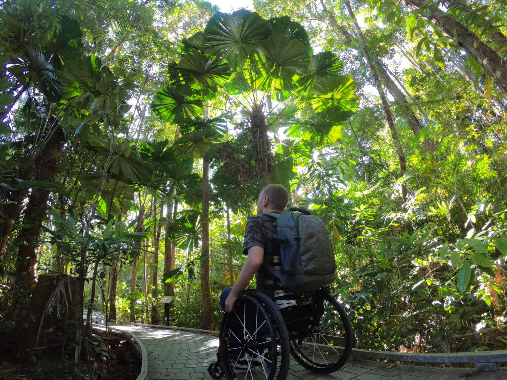 Wheelchair user in a rainforest in Queensland.