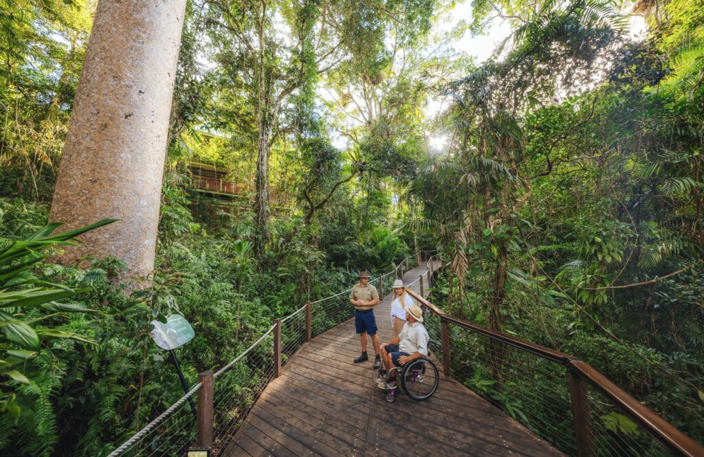 Guided ranger tour along the rainforest boardwalk