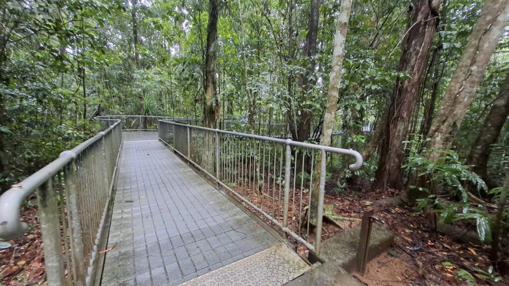 Wheelchair-friendly access at Mamu Tropical Skywalk.