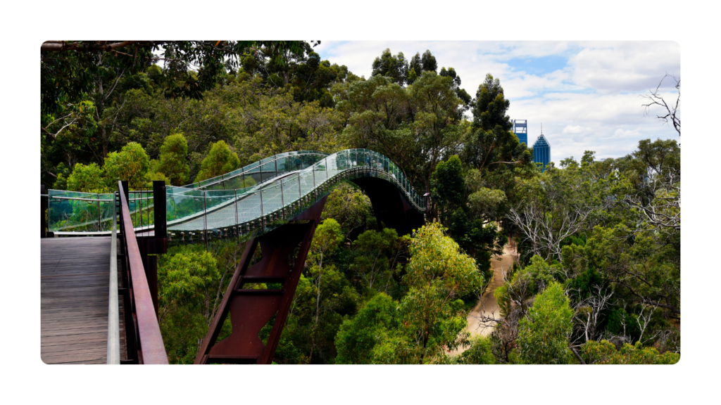 Kings Park & Botanic Garden