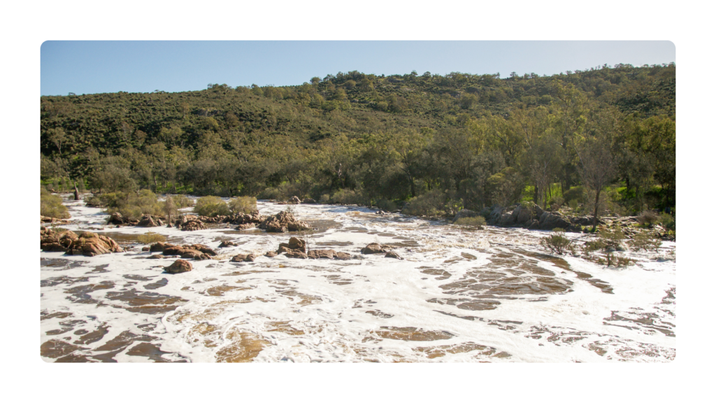 Swan Valley