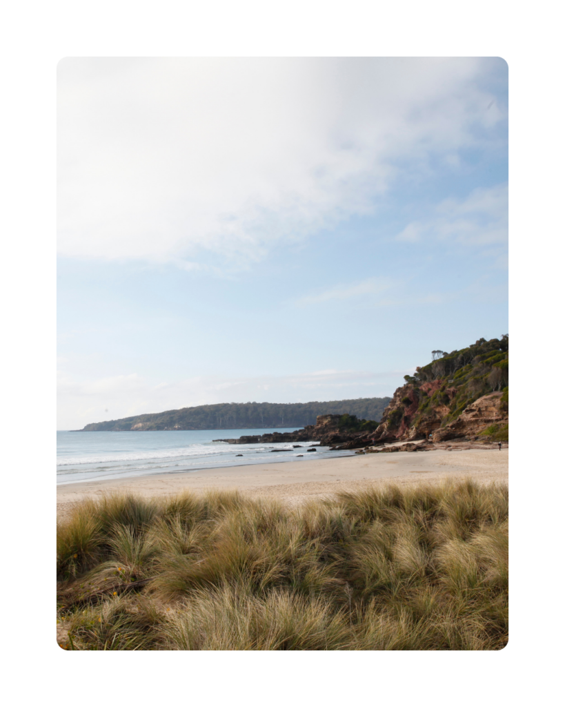 South Coast