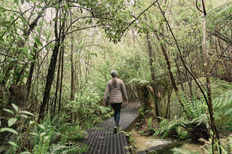 A graded bush trail follows the water at the Cascades, tall eucalypts and granite boulders lining the route.