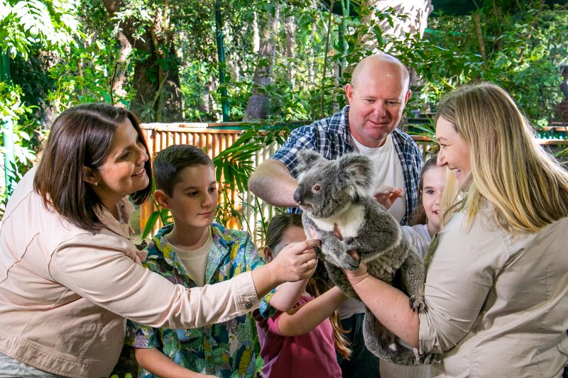 A keeper holds a koala while a family, including two children, gather close to gently touch it during an encounter at Currumbin Wildlife Sanctuary.
