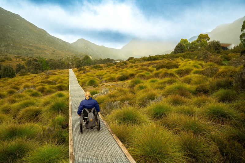 A wheelchair user travels along a raised metal boardwalk that runs straight through golden button grass towards the cloud-wrapped peaks of Cradle Mountain.
