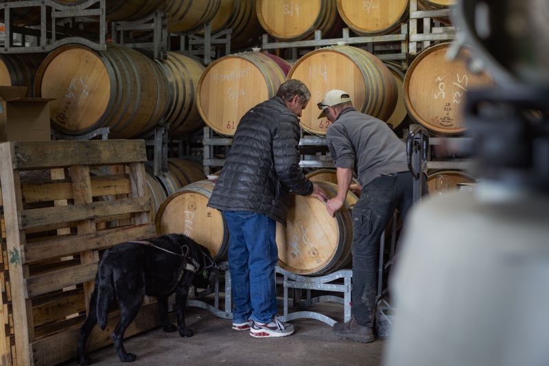 A blind visitor and his guide dog stand with a winemaker beside a stack of oak barrels, the winemaker guiding his hands to the head of a barrel during a cellar tour.