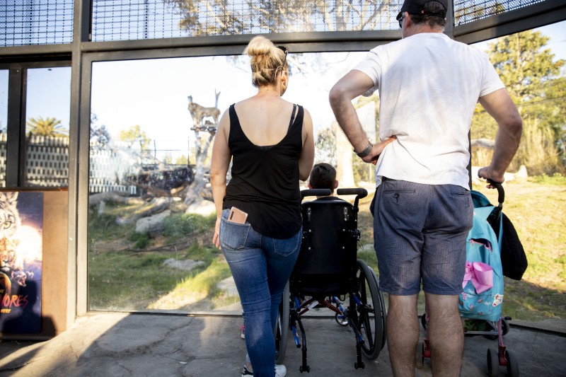 A family, including a child using a wheelchair, watch big cats together through the mesh of an open-air enclosure at the zoo.